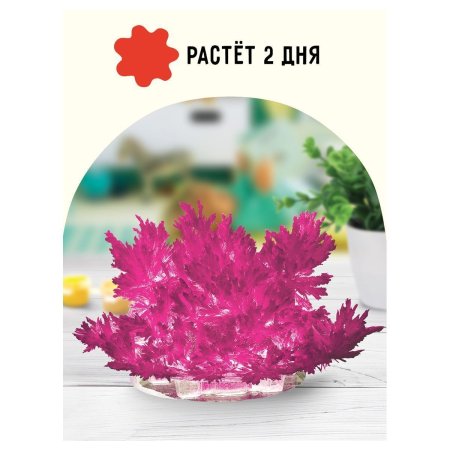 Набор для выращивания кристаллов ТРИ СОВЫ "Лучистый" малиновый RE-ВКл_48898