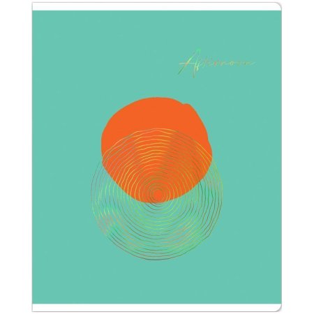 Тетрадь 48л. A5 клетка MESHU "Sunny life" матовая ламинация, тиснение фольгой RE-MS_43114