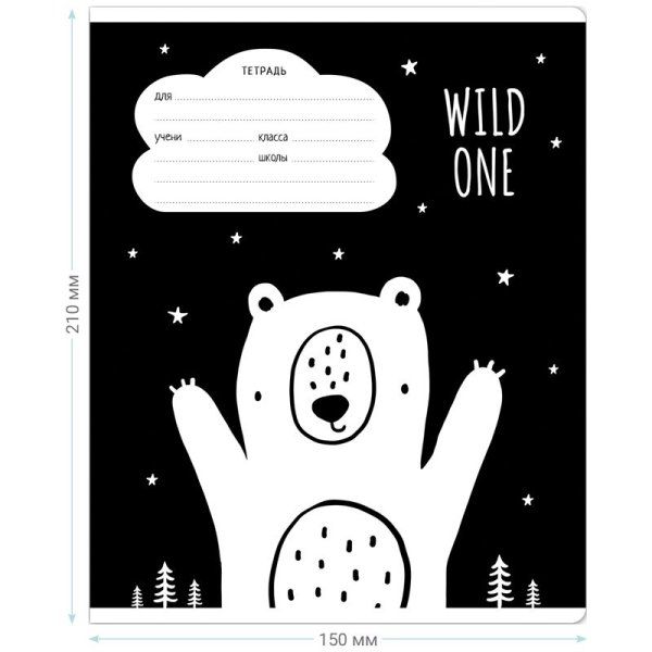 Тетрадь 18л. клетка MESHU "Black&white" RE-MS_43310