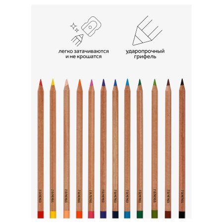 Карандаши цветные ГАММА "Мультики" 12 цв супермягкие, увелич. грифель 4 мм, заточен, картон RE-80220216