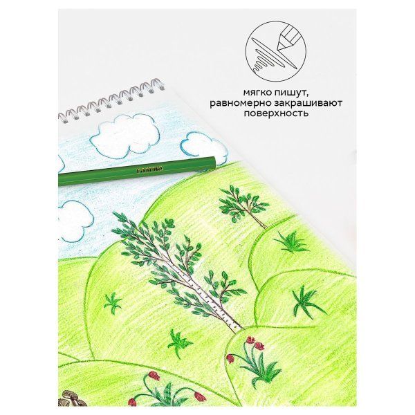 Карандаши цветные ГАММА "Классические" 24 цв заточенные, карт. упаковка, европодвес RE-050918_04_04