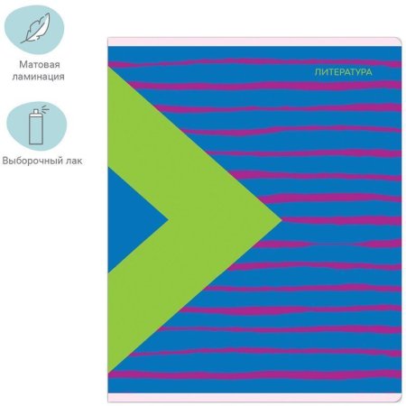 Тетрадь предметная 48л. MESHU "Bright splash" - Литература, матовая ламинация, выборочный УФ-лак RE-MS_42565