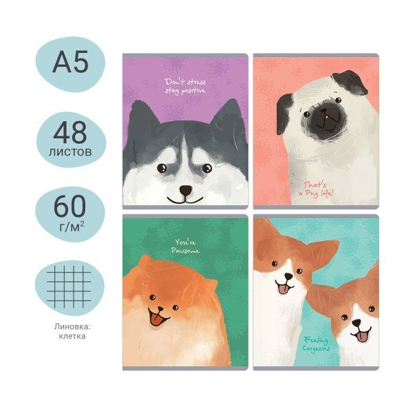 Тетрадь 48л. A5 клетка MESHU "Funny dogs" матовая ламинация, микро sandy-touch лак RE-MS_49772