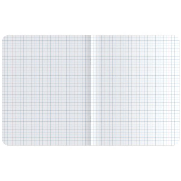 Тетрадь 48л. A5 клетка MESHU "Crazy phrazes" ТВИН-лак RE-MS_43106