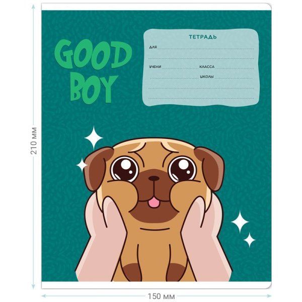 Тетрадь 12л. A5 клетка MESHU "Good boy" RE-MS_43306
