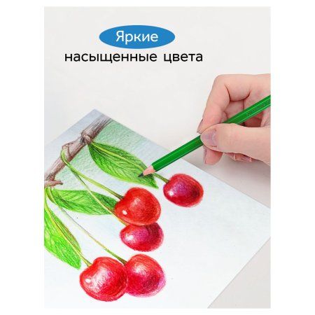 Карандаши цветные ГАММА "Классические" 24 цв заточенные, карт. упаковка, европодвес RE-050918_04_04