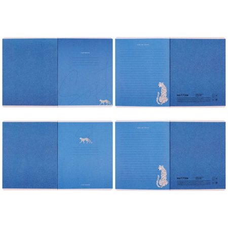 Тетрадь 48л. A5 клетка MESHU "Bright&Soft" софт-тач ламинация, тиснение фольгой RE-MS_43084