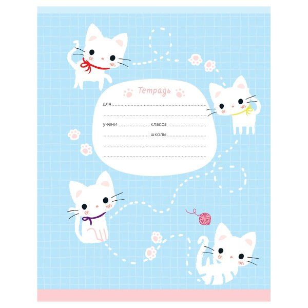 Тетрадь 12л. клетка MESHU "Little kitty" RE-MS_50150/1
