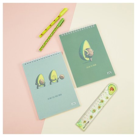 Блокнот А5 60л. на гребне MESHU "Avocadreams", пластиковая обложка RE-MS_48667