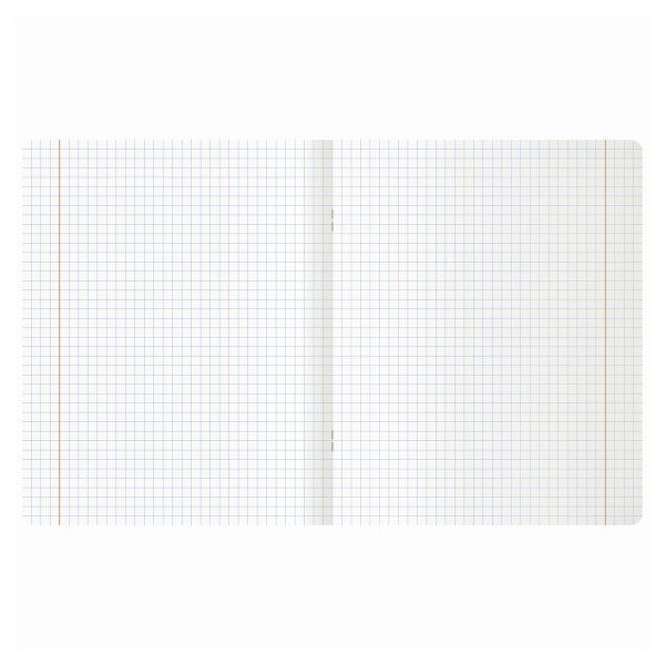 Тетрадь 12л. клетка MESHU "Little kitty" RE-MS_50150/1