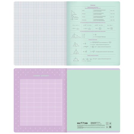 Тетрадь предметная 48л. MESHU "Duo Brush" - Геометрия, матовая ламинация, тиснение фольгой RE-MS_31287