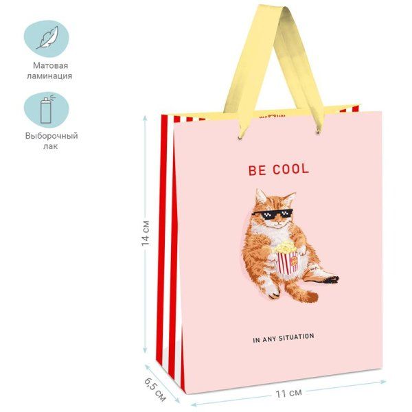 Пакет подарочный 11*14*6,5см MESHU "Be cool", выб. лак, матовая ламинация RE-MS_45682