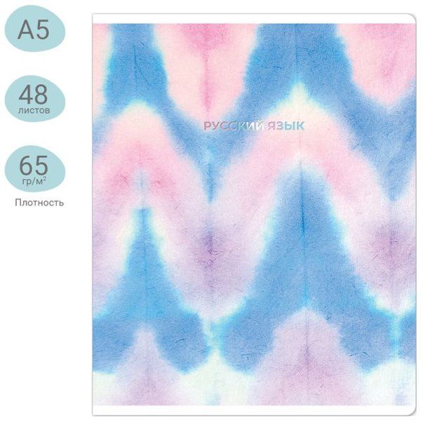 Тетрадь предметная 48л. MESHU "Candy color" - Русский язык, "софт-тач" ламинация, тиснение фольгой RE-MS_42543