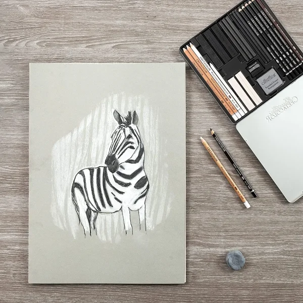 Набор для рисунков и эскизов CRETACOLOR Black&White Box 25 предметов, мет.пенал CR40026